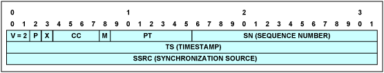 Figure 11. RTP header.