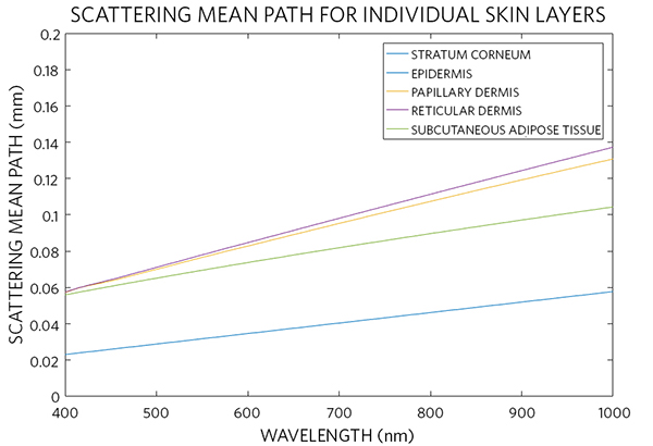 Scattering mean path of different skin layers
